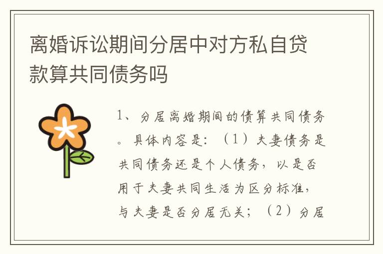 离婚诉讼期间分居中对方私自贷款算共同债务吗