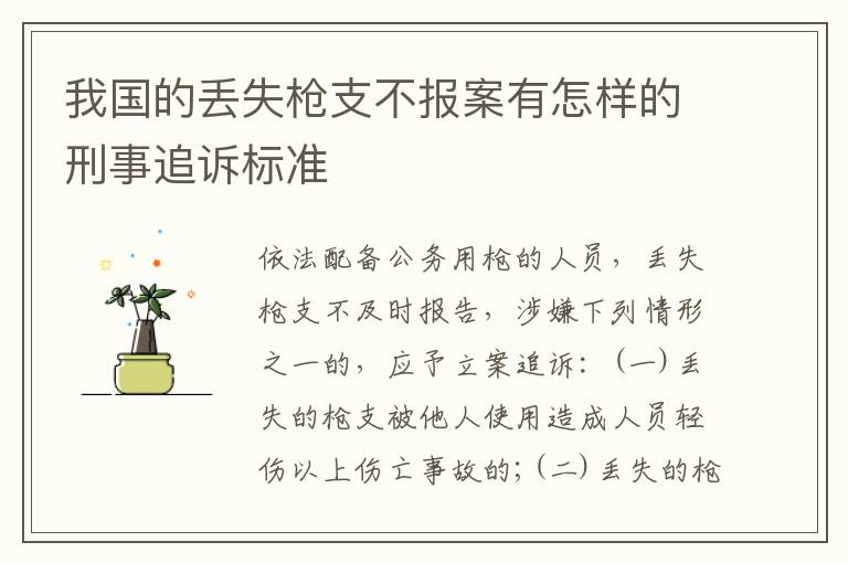 我国的丢失枪支不报案有怎样的刑事追诉标准