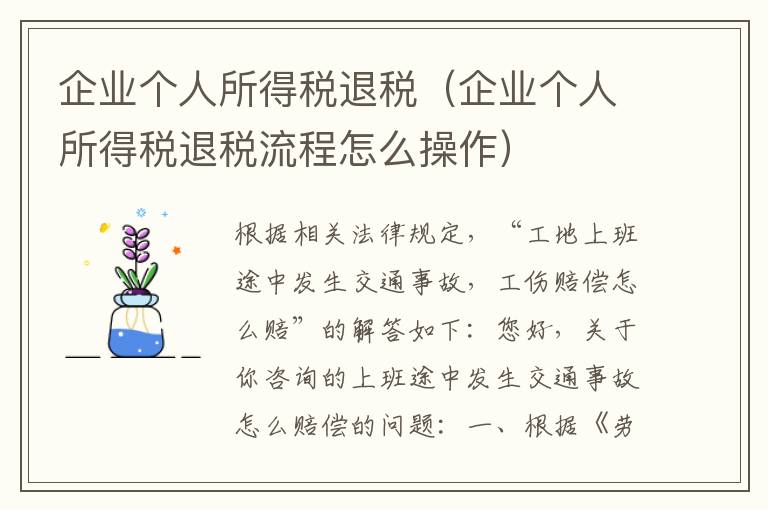 企业个人所得税退税（企业个人所得税退税流程怎么操作）