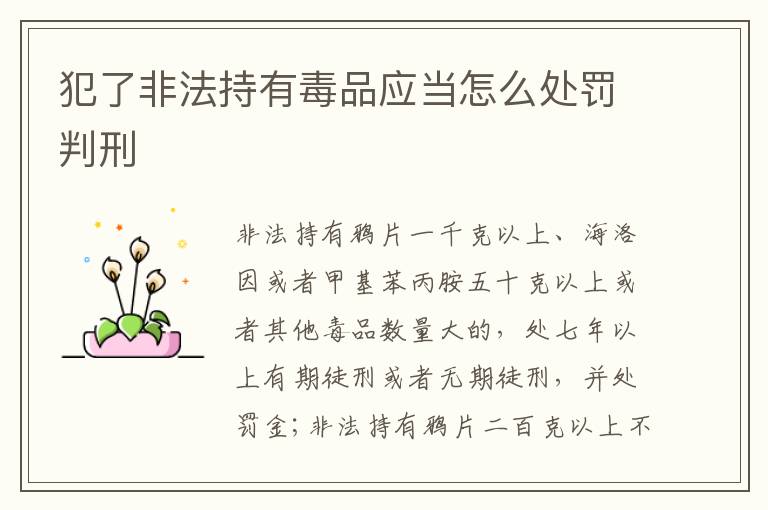 犯了非法持有毒品应当怎么处罚判刑