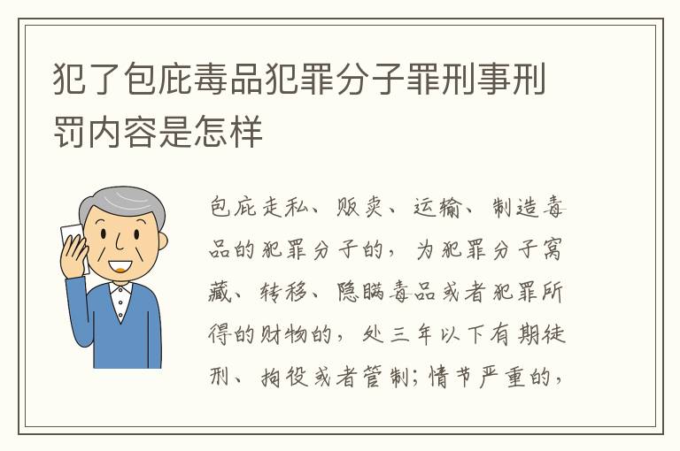 犯了包庇毒品犯罪分子罪刑事刑罚内容是怎样