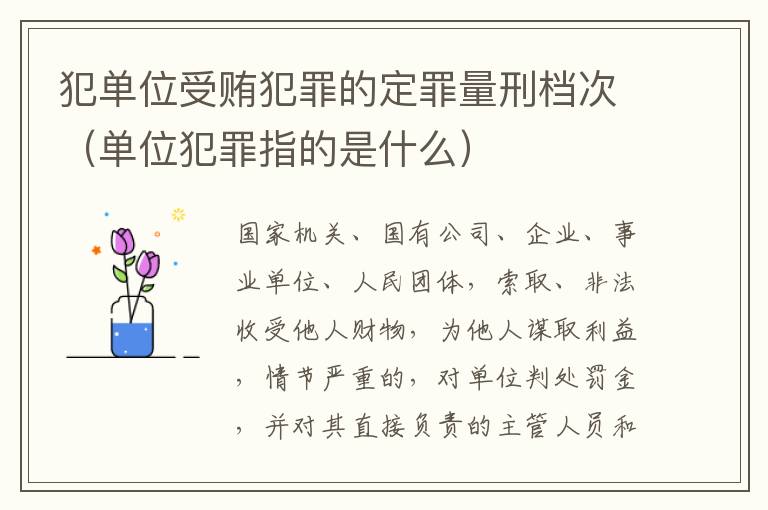 犯单位受贿犯罪的定罪量刑档次（单位犯罪指的是什么）