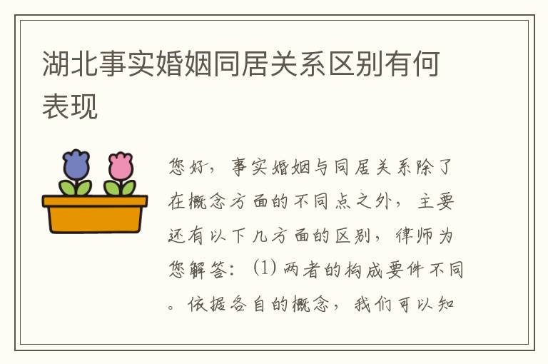 湖北事实婚姻同居关系区别有何表现