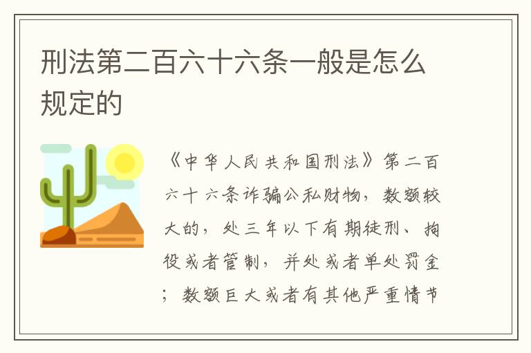 刑法第二百六十六条一般是怎么规定的