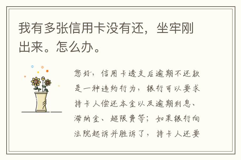 我有多张信用卡没有还，坐牢刚出来。怎么办。