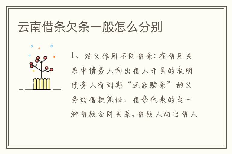 云南借条欠条一般怎么分别