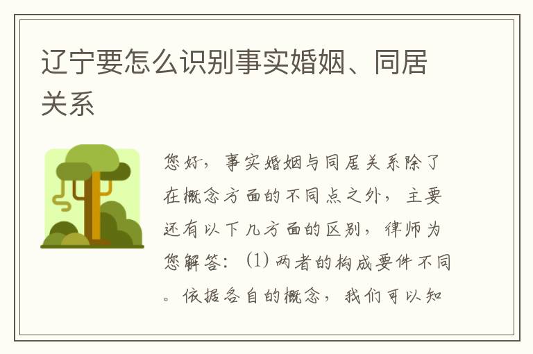 辽宁要怎么识别事实婚姻、同居关系