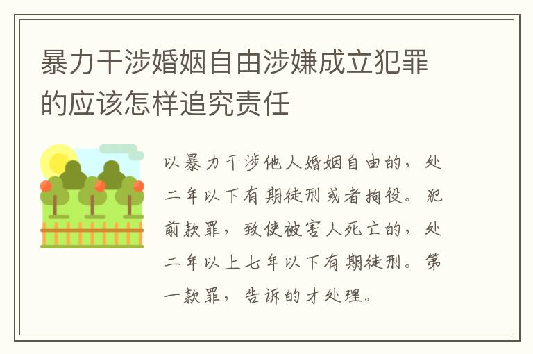 暴力干涉婚姻自由涉嫌成立犯罪的应该怎样追究责任