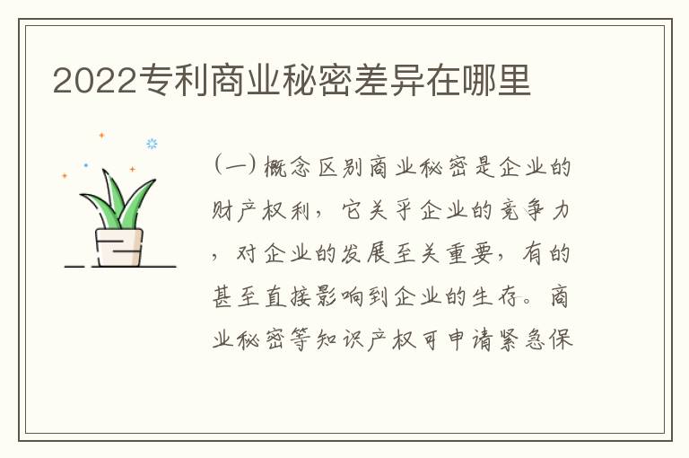 2022专利商业秘密差异在哪里