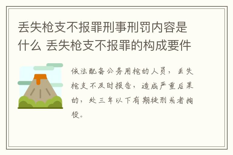 丢失枪支不报罪刑事刑罚内容是什么 丢失枪支不报罪的构成要件