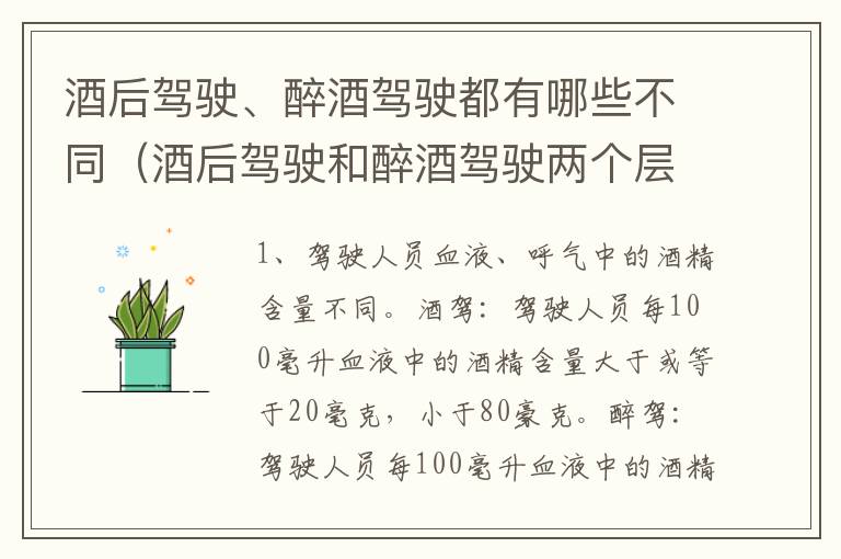 酒后驾驶、醉酒驾驶都有哪些不同（酒后驾驶和醉酒驾驶两个层次的划分依据）
