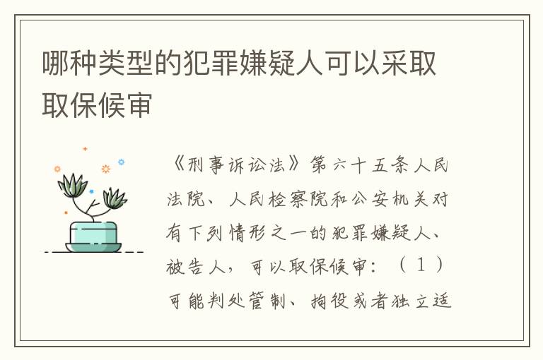 哪种类型的犯罪嫌疑人可以采取取保候审