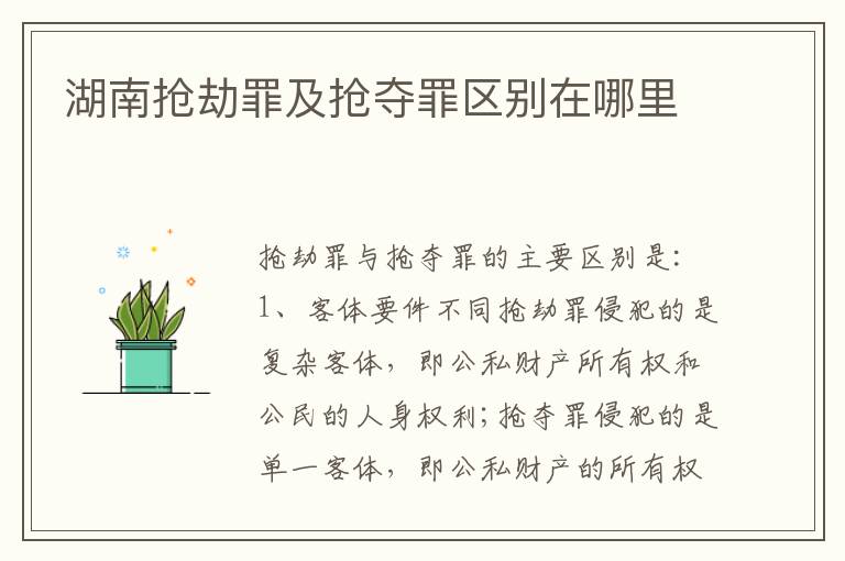 湖南抢劫罪及抢夺罪区别在哪里