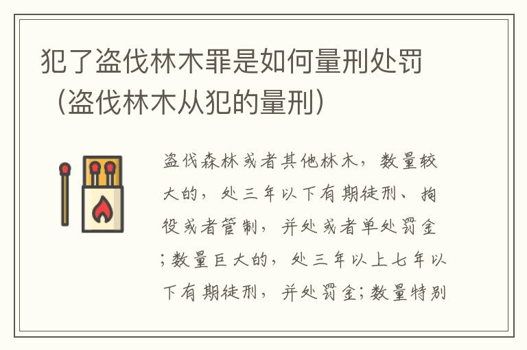 犯了盗伐林木罪是如何量刑处罚（盗伐林木从犯的量刑）