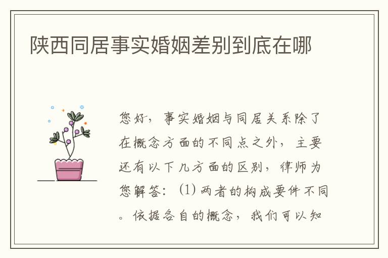 陕西同居事实婚姻差别到底在哪
