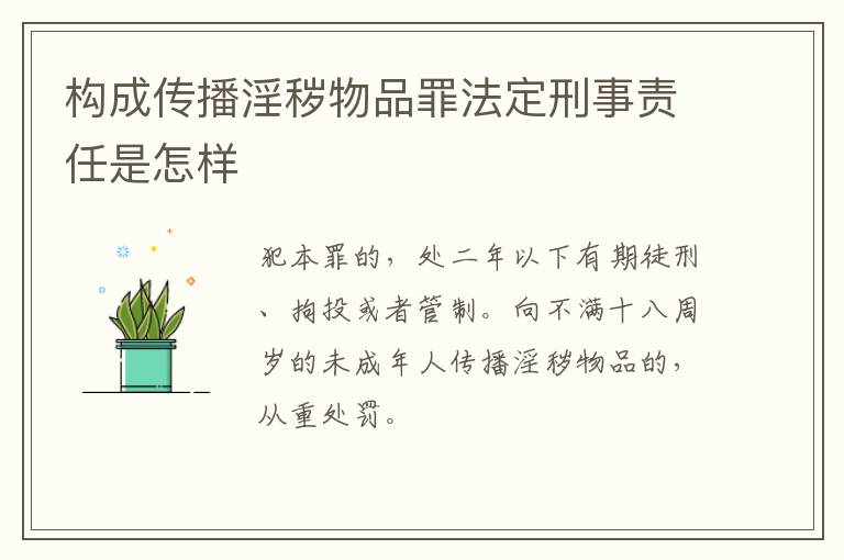构成传播淫秽物品罪法定刑事责任是怎样