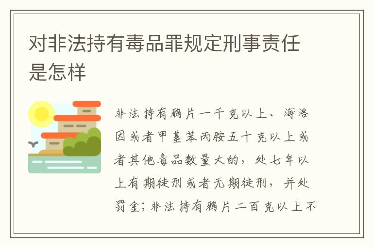 对非法持有毒品罪规定刑事责任是怎样