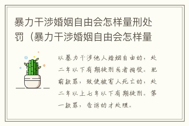 暴力干涉婚姻自由会怎样量刑处罚（暴力干涉婚姻自由会怎样量刑处罚吗）