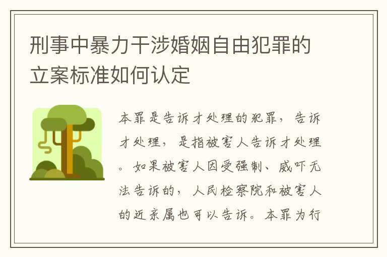刑事中暴力干涉婚姻自由犯罪的立案标准如何认定