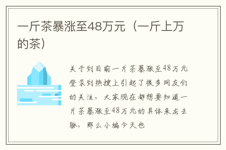 一斤茶暴涨至48万元（一斤上万的茶）