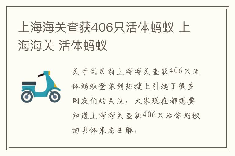 上海海关查获406只活体蚂蚁 上海海关 活体蚂蚁