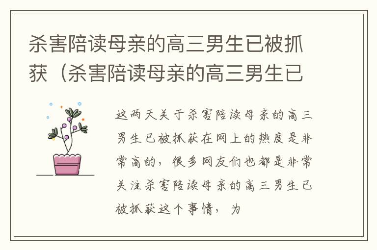 杀害陪读母亲的高三男生已被抓获（杀害陪读母亲的高三男生已被抓获了）