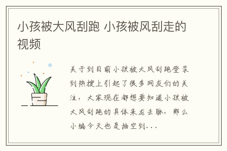 小孩被大风刮跑 小孩被风刮走的视频