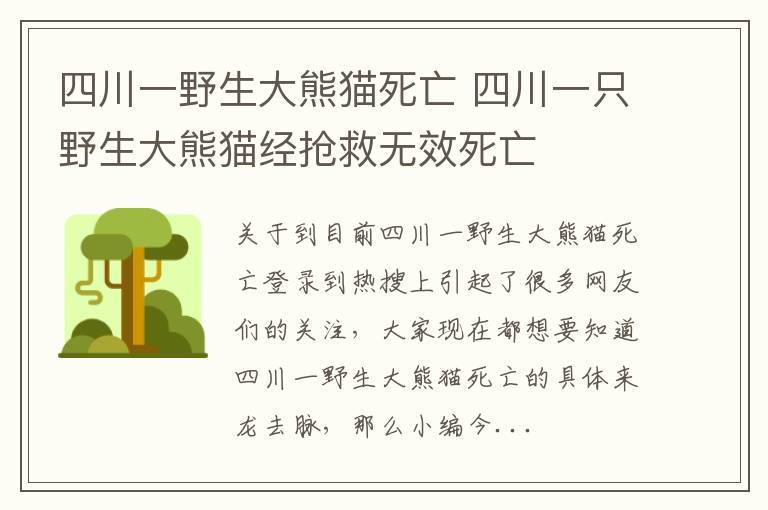 四川一野生大熊猫死亡 四川一只野生大熊猫经抢救无效死亡