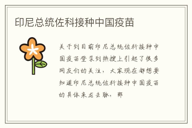 印尼总统佐科接种中国疫苗