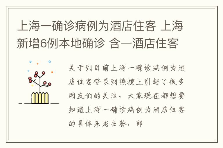 上海一确诊病例为酒店住客 上海新增6例本地确诊 含一酒店住客