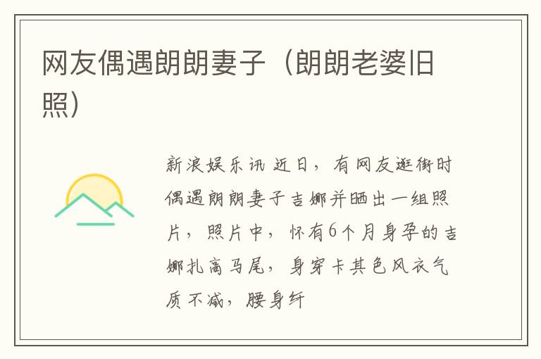 网友偶遇朗朗妻子（朗朗老婆旧照）