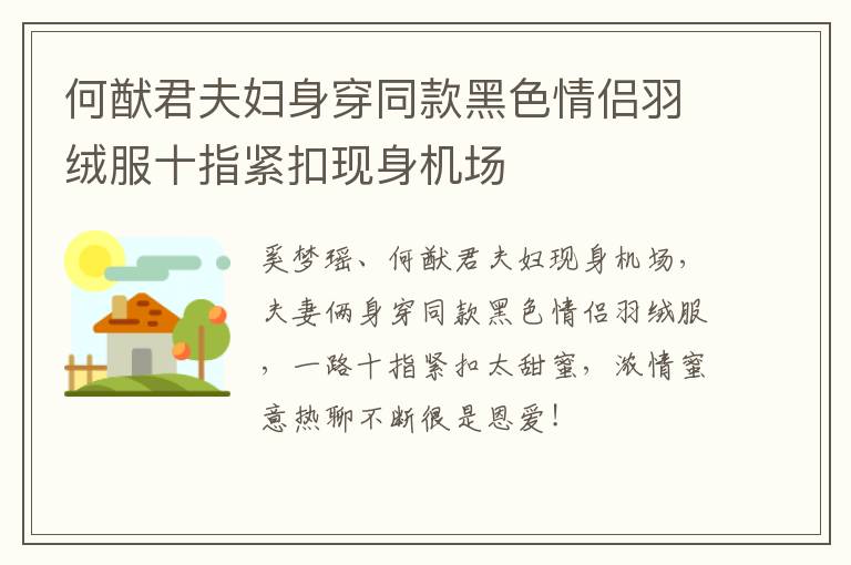 何猷君夫妇身穿同款黑色情侣羽绒服十指紧扣现身机场