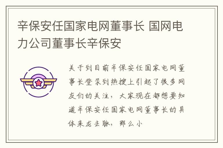 辛保安任国家电网董事长 国网电力公司董事长辛保安