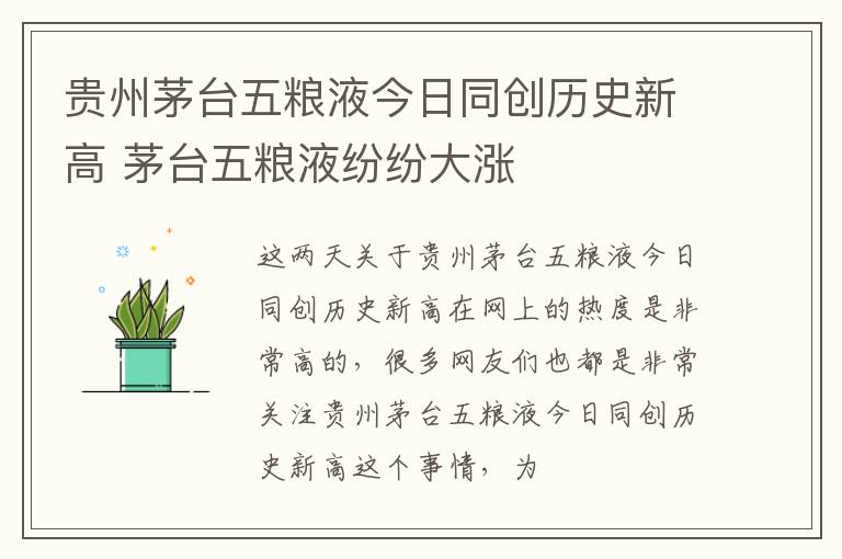 贵州茅台五粮液今日同创历史新高 茅台五粮液纷纷大涨