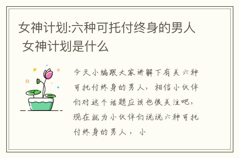 女神计划:六种可托付终身的男人 女神计划是什么