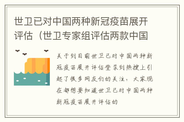 世卫已对中国两种新冠疫苗展开评估（世卫专家组评估两款中国疫苗）