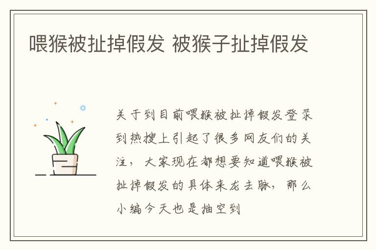 喂猴被扯掉假发 被猴子扯掉假发