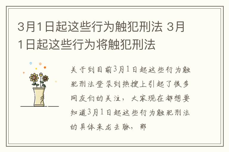 3月1日起这些行为触犯刑法 3月1日起这些行为将触犯刑法