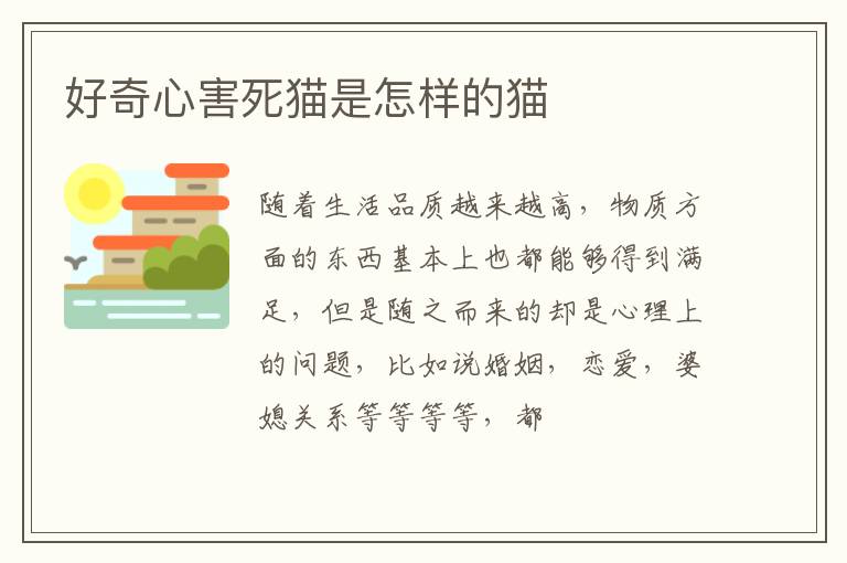 好奇心害死猫是怎样的猫