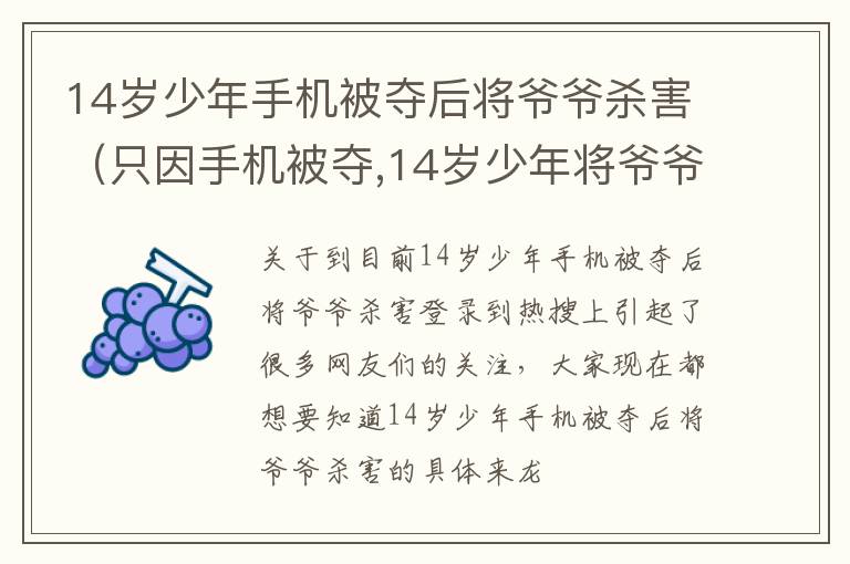14岁少年手机被夺后将爷爷杀害（只因手机被夺,14岁少年将爷爷杀害）