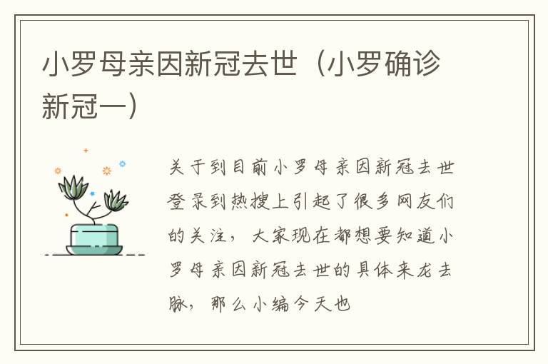 小罗母亲因新冠去世（小罗确诊新冠一）