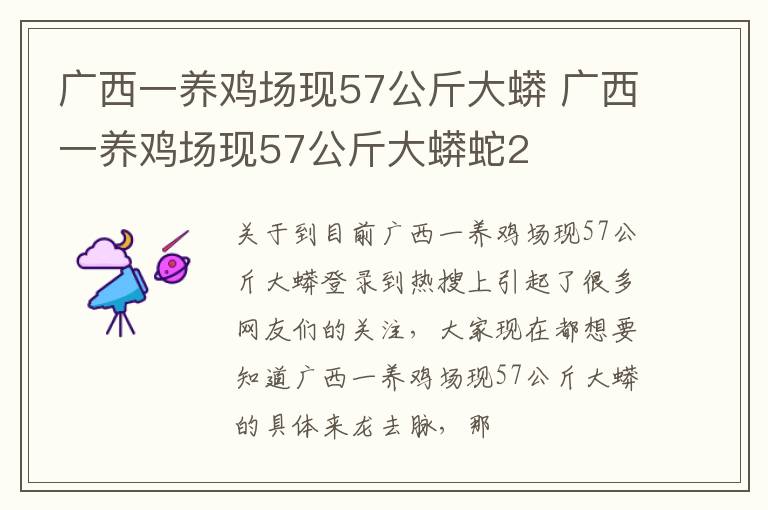 广西一养鸡场现57公斤大蟒 广西一养鸡场现57公斤大蟒蛇2