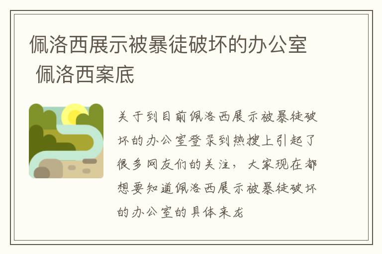 佩洛西展示被暴徒破坏的办公室 佩洛西案底
