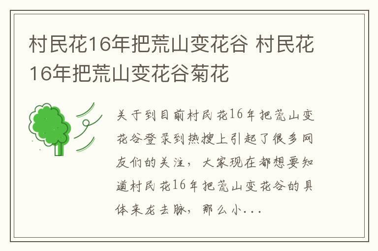 村民花16年把荒山变花谷 村民花16年把荒山变花谷菊花