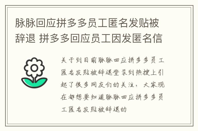 脉脉回应拼多多员工匿名发贴被辞退 拼多多回应员工因发匿名信息帖被辞退:解约