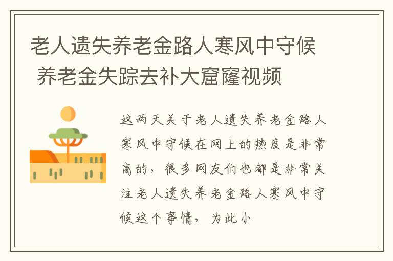 老人遗失养老金路人寒风中守候 养老金失踪去补大窟窿视频