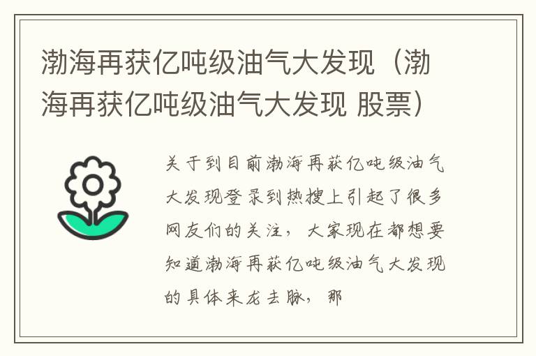 渤海再获亿吨级油气大发现（渤海再获亿吨级油气大发现 股票）