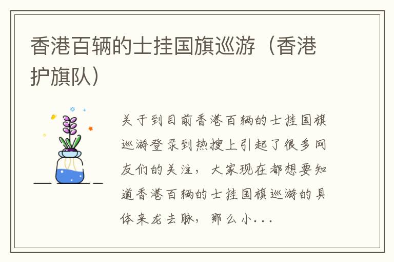 香港百辆的士挂国旗巡游（香港护旗队）