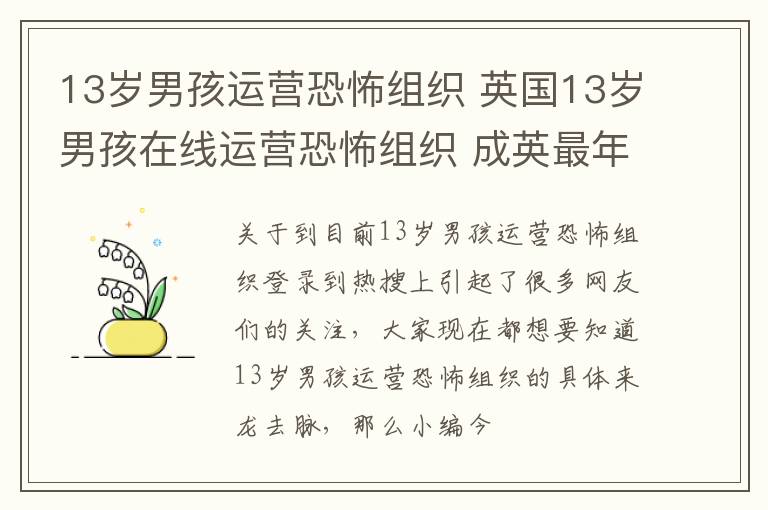 13岁男孩运营恐怖组织 英国13岁男孩在线运营恐怖组织 成英最年轻恐怖分子