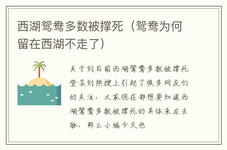西湖鸳鸯多数被撑死（鸳鸯为何留在西湖不走了）